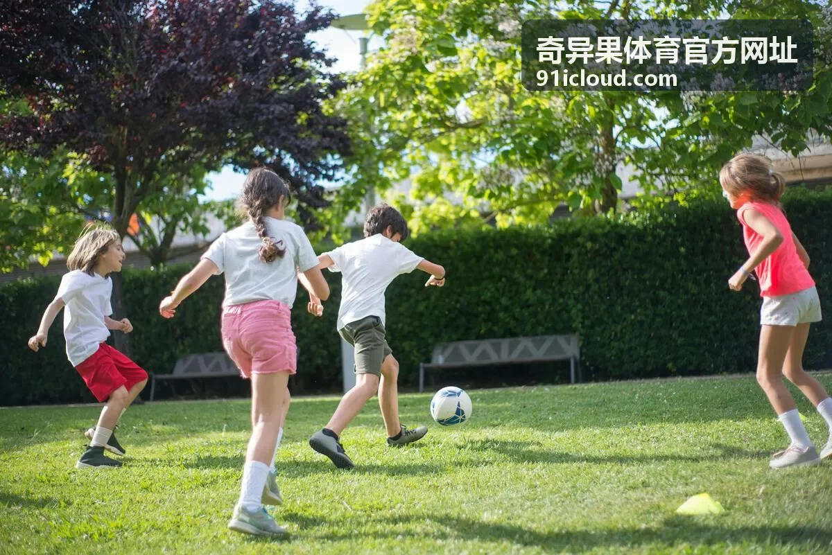 奇异果体育官方网址登录验证与验证码排查示意