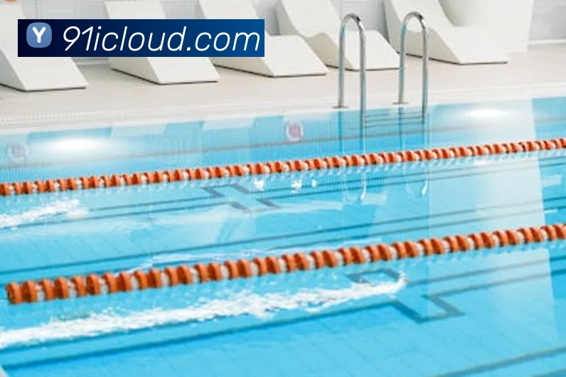 世界杯开户平台平台生态图